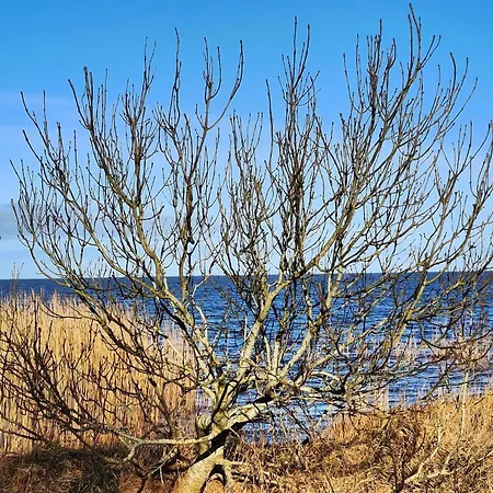 Idyllic Danish Retreat-by Traum *