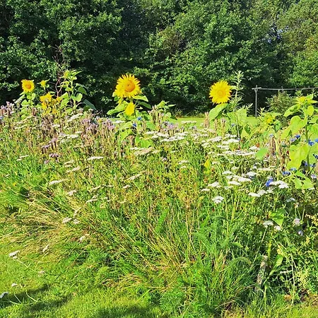 Semesterbostad Idyllic Danish Retreat-by Traum