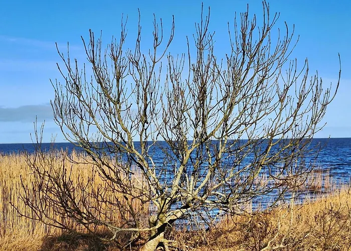 Idyllic Danish Retreat-by Traum *