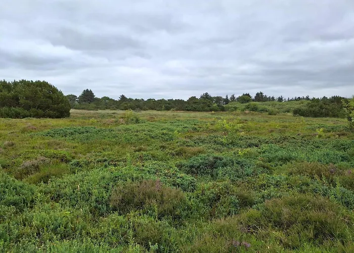 Idyllic Danish Retreat-by Traum Dom wakacyjny Hemmet