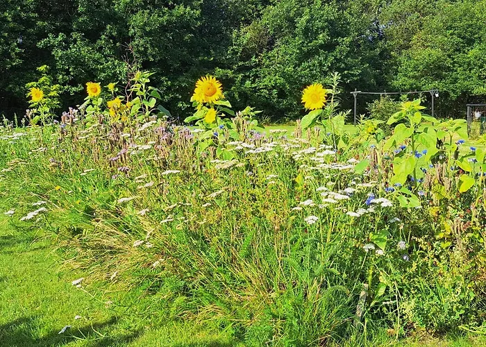 Dom wakacyjny Idyllic Danish Retreat-by Traum